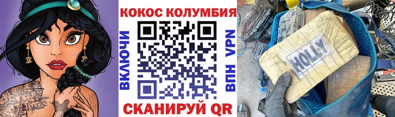 Купить закладки  Зеленогорск  Cocaine Fish Scale 