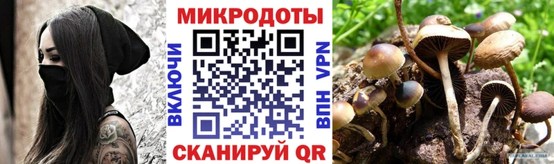 Купить закладки  Зеленогорск  Галлюциногенные грибы Psilocybe 